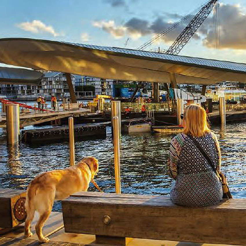 Marine Piling - Barangaroo